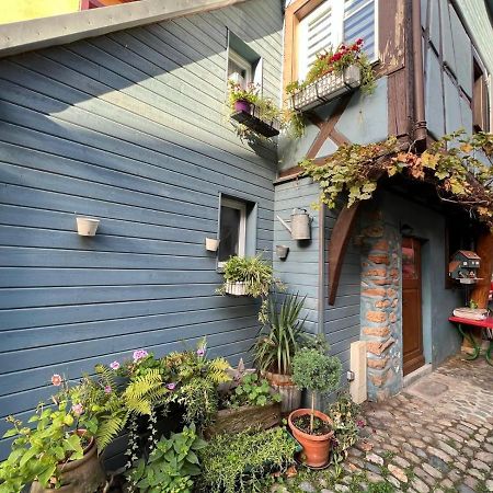 Gite Le 70 A Turckheim, 10 Min Colmar Екстер'єр фото
