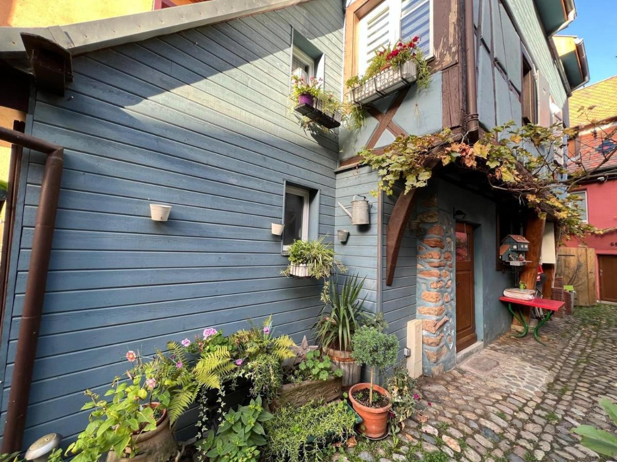 Gite Le 70 A Turckheim, 10 Min Colmar Екстер'єр фото